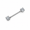 Nippelpiercing – Silber ✨